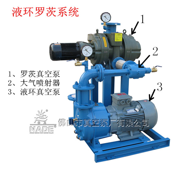 JZJPS羅茨水環機組